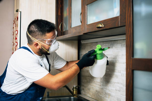 Best Pest Inspection Near Me  in Bridgewater Center, NJ