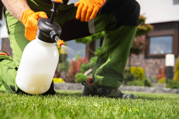 Best Best Pest Control Companies  in Bridgewater Center, NJ