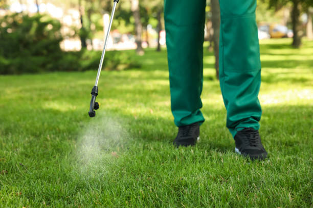 Best Ant Control Services  in Bridgewater Center, NJ