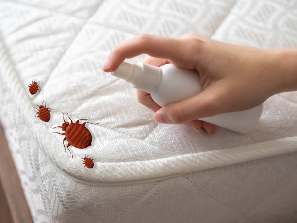 Pest Prevention Services in Bridgewater Center, NJ