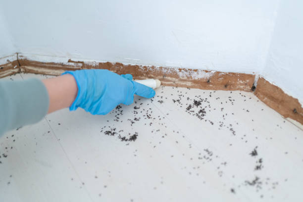 Professional Pest Control in Bridgewater Center, NJ