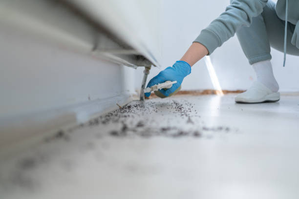 Best Termite Control Services  in Bridgewater Center, NJ