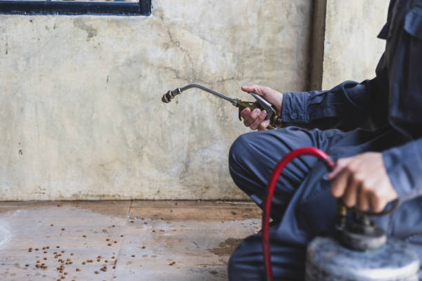 Best Pest Removal Services  in Bridgewater Center, NJ